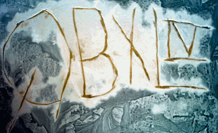 QBXL logo for this issue